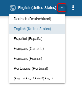 ../_images/navigating-the-tool-language-settings.png